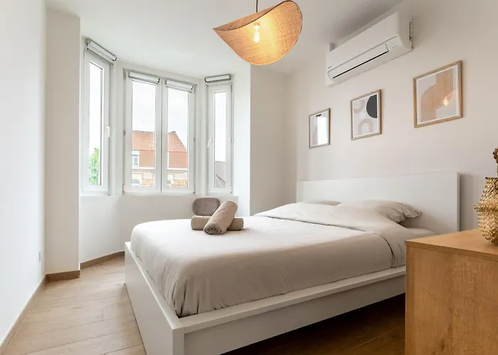 Leone - à 500m De La De Malo Dunkirk